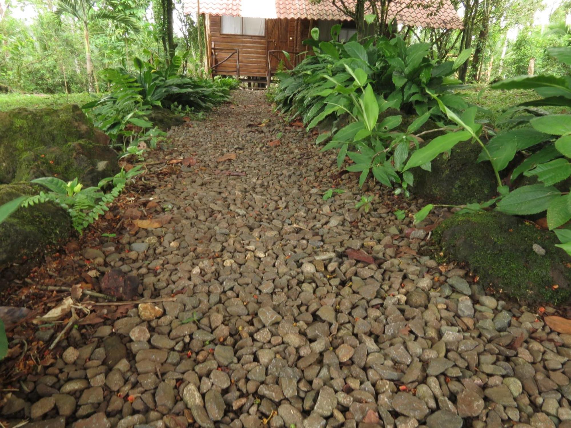 Villa Vocaré Agroecoturismo à Upala Extérieur photo