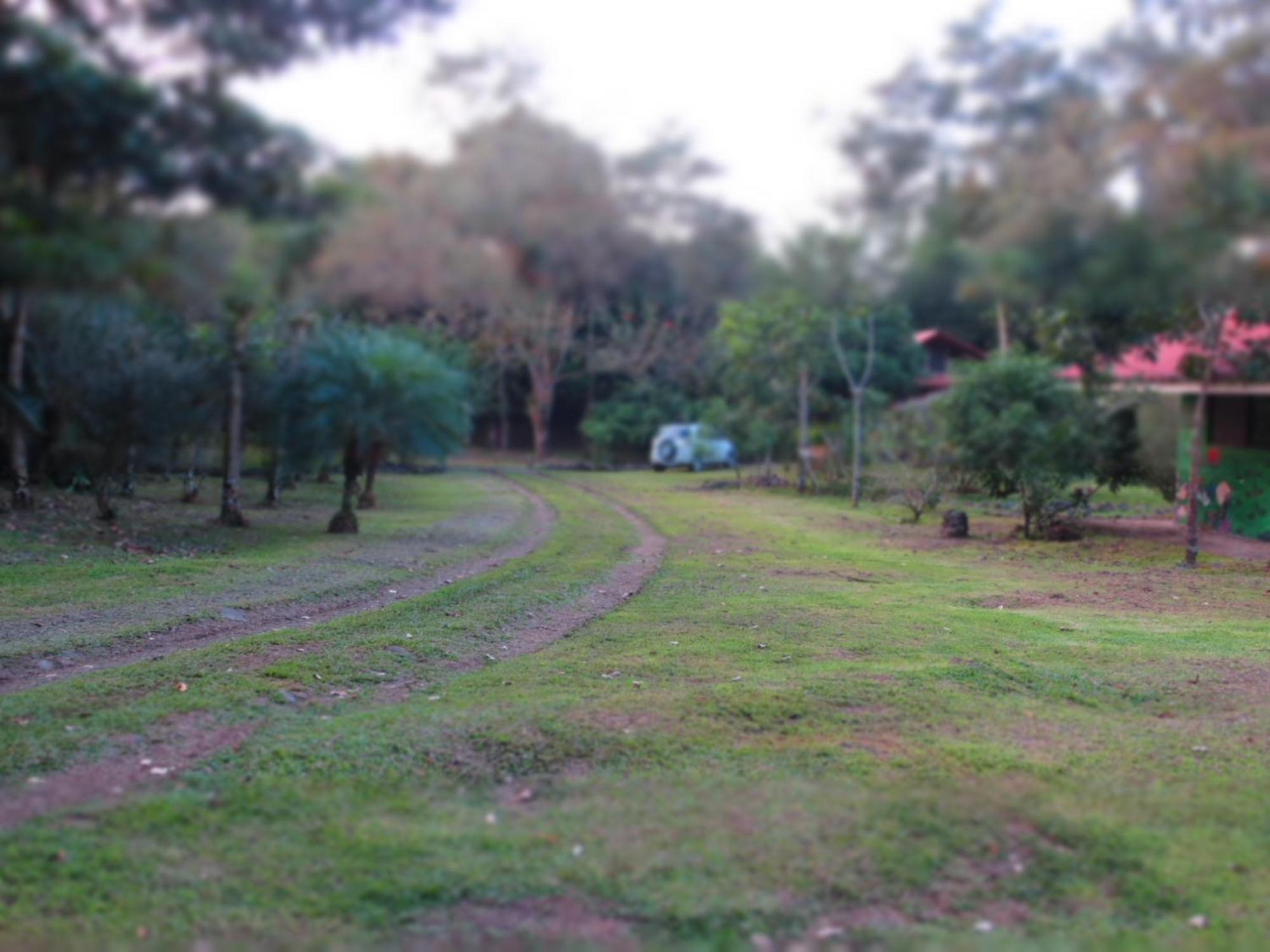 Villa Vocaré Agroecoturismo à Upala Extérieur photo
