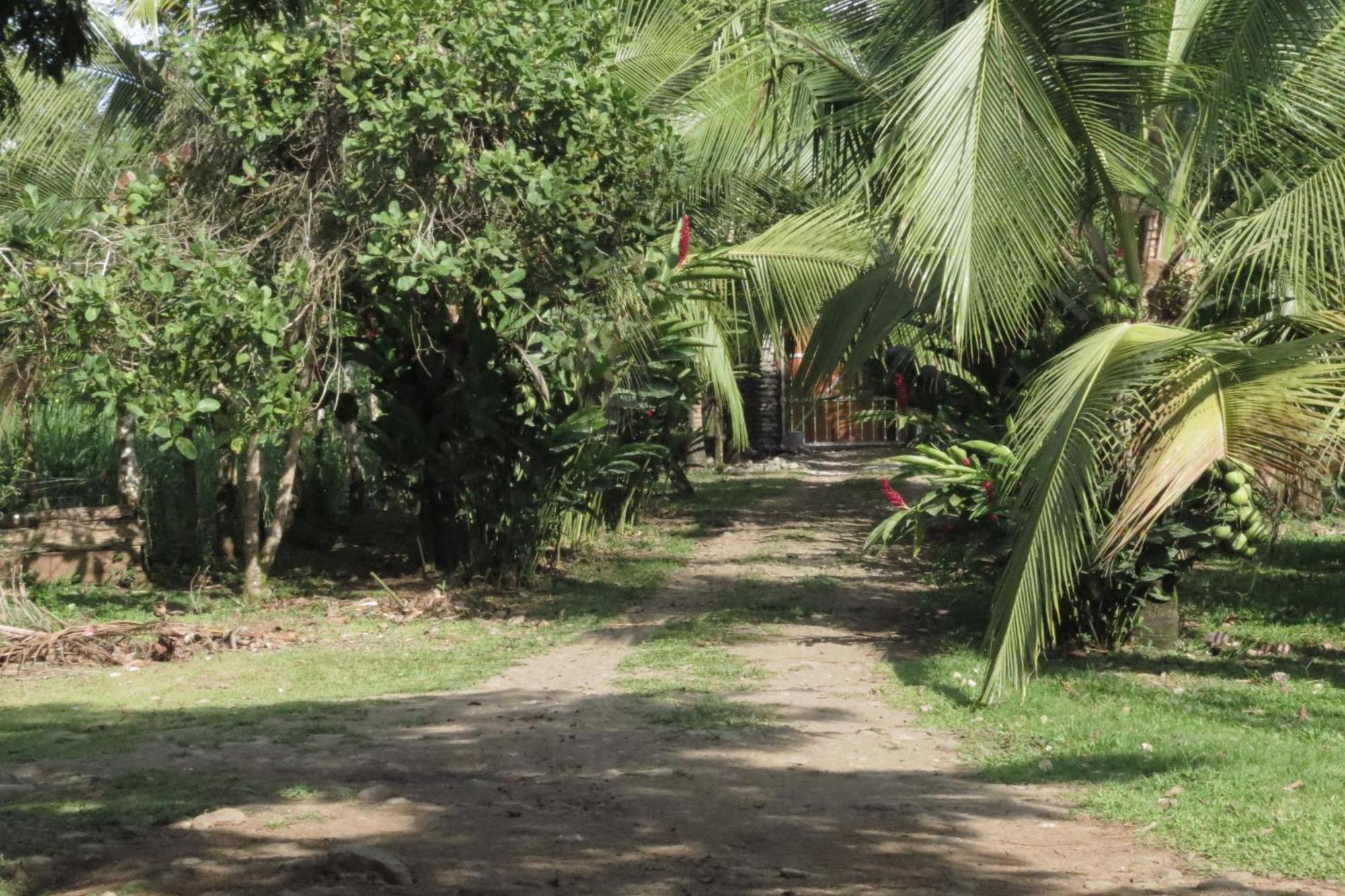 Villa Vocaré Agroecoturismo à Upala Extérieur photo