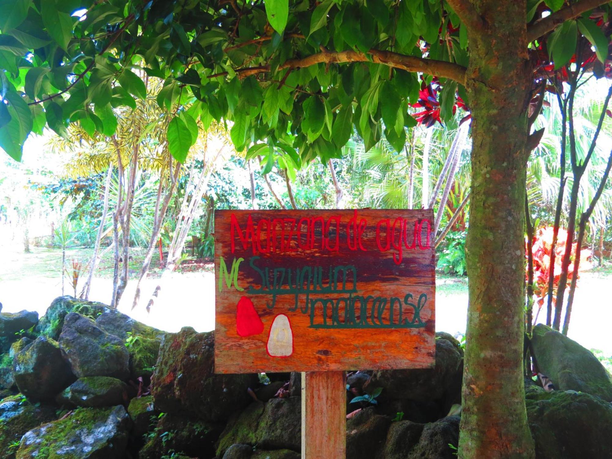 Villa Vocaré Agroecoturismo à Upala Extérieur photo