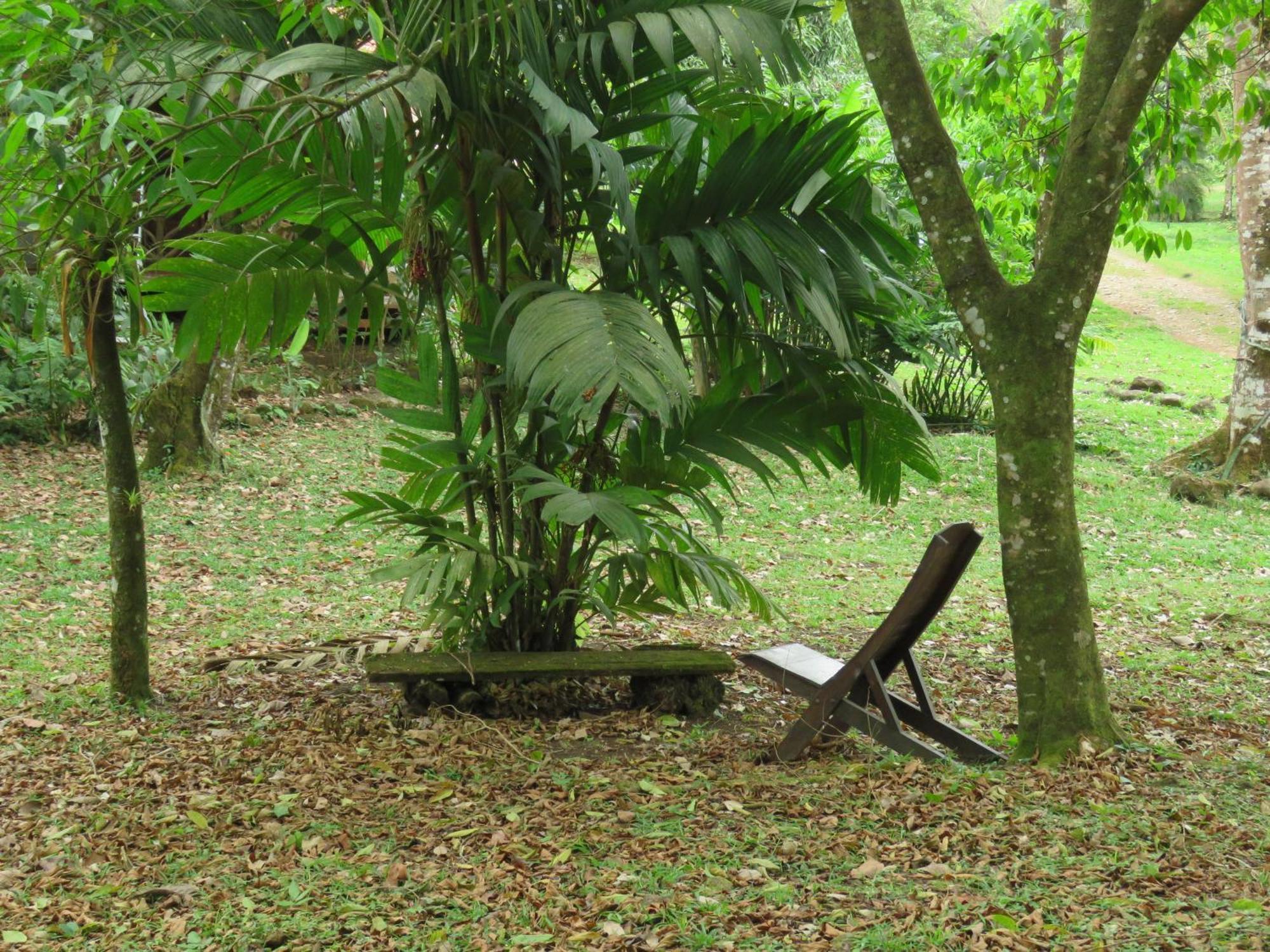 Villa Vocaré Agroecoturismo à Upala Extérieur photo